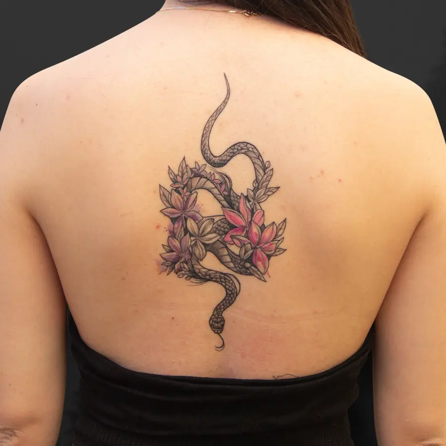 Trabajo de Anthrax832 3